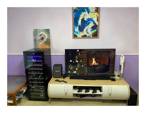 Винный шкаф Vinosafe VSF51AM фото 9