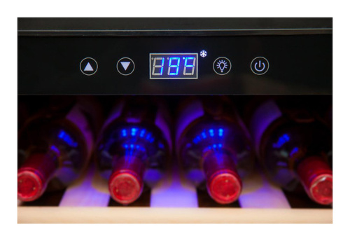Винный шкаф Cold Vine C180-KSF2 фото 8