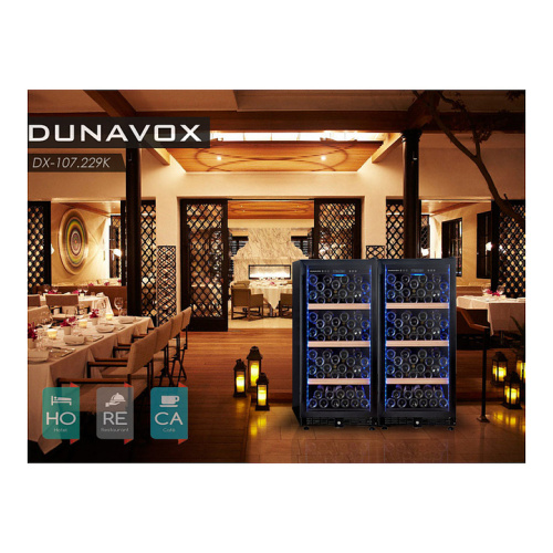 Винный шкаф Dunavox DX-107.229K фото 2
