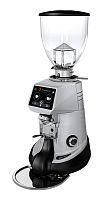 Кофемолка Fiorenzato F64 E XGi серая