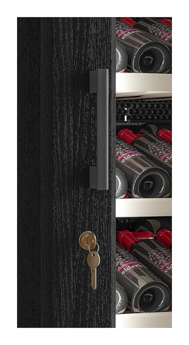 Винный шкаф Cold Vine C66-WB1 (Modern) фото 11